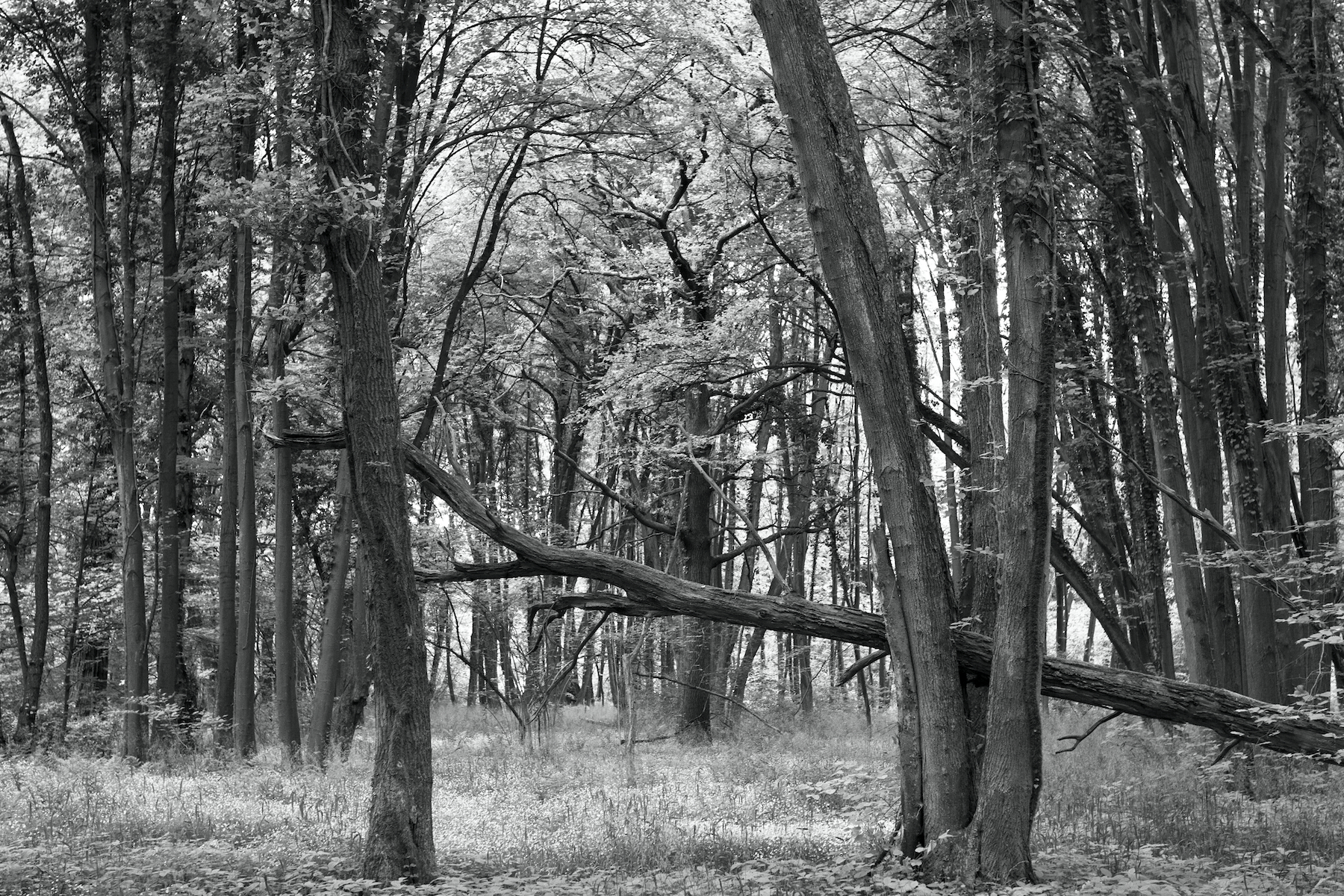 Momente der Aufmerksamkeit 11