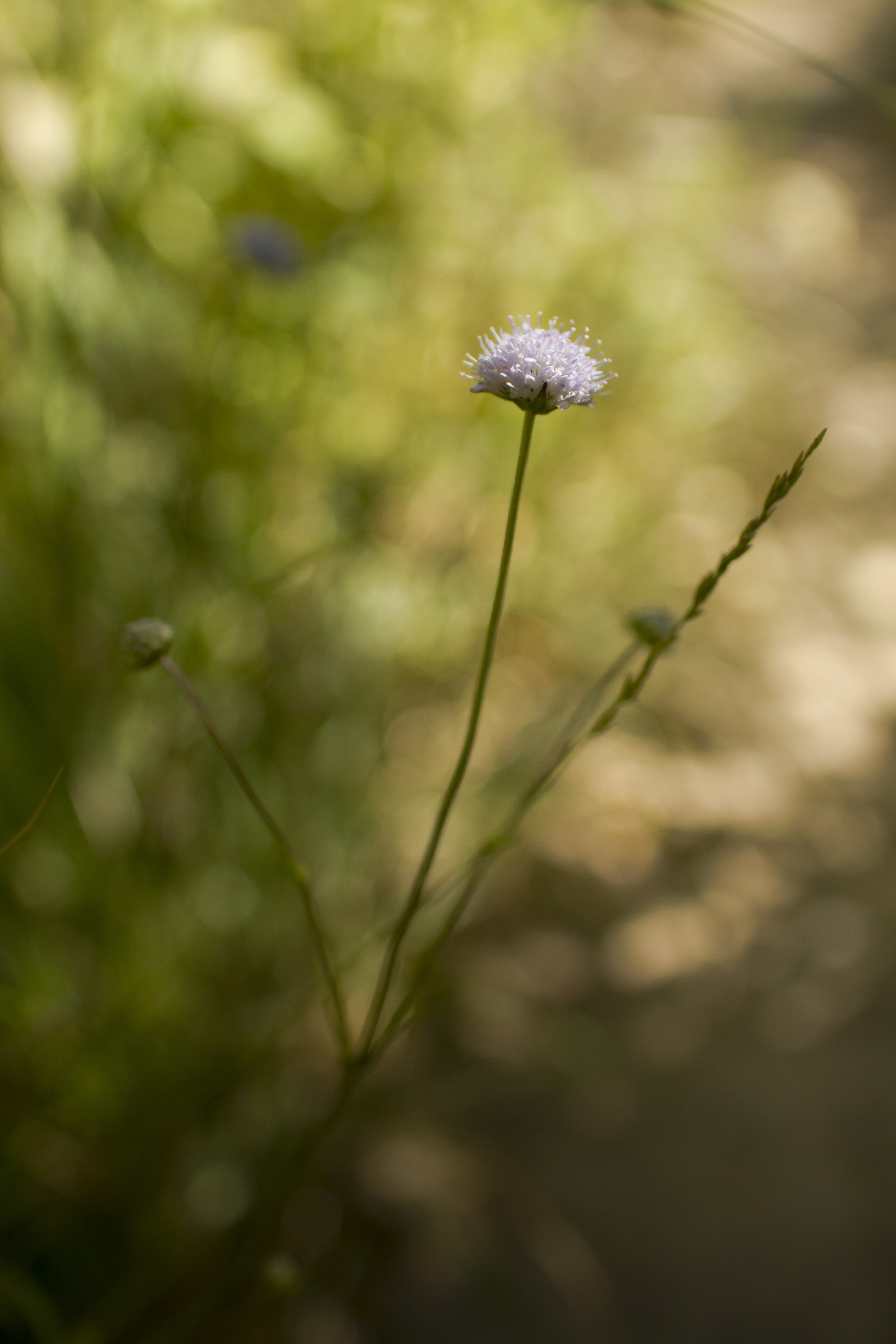 Momente der Aufmerksamkeit 29